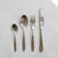 brushed-stainless-steel-flatware2